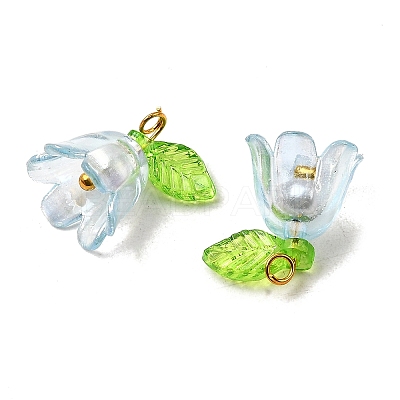Acrylic Pendant PALLOY-YW027-02-1