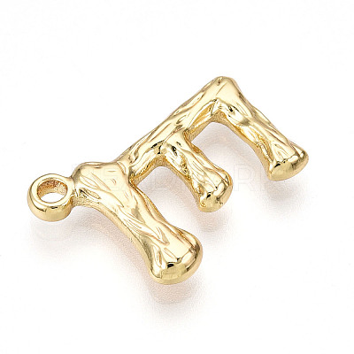 304 Stainless Steel Pendants STAS-N117-01G-E-1