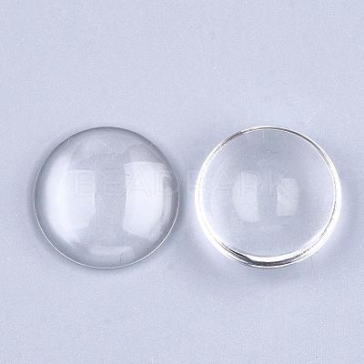Transparent Glass Cabochons GGLA-S036-01-1
