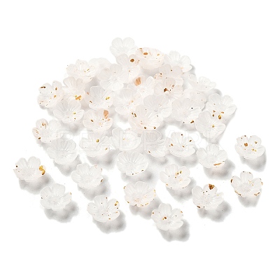 Acrylic Bead Caps OACR-Z028-03H-1
