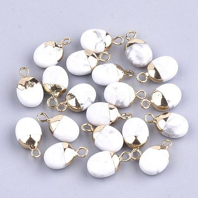 Electroplate Natural Howlite Charms X-G-S344-09F-1