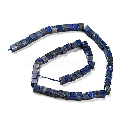Natural Lapis Lazuli Beads Strands G-Q1008-B07-1