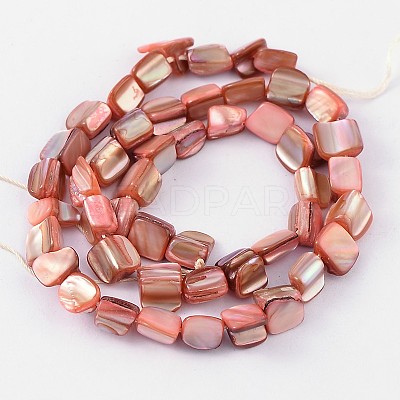 Natural Shell Beads Strands PBB049Y-1