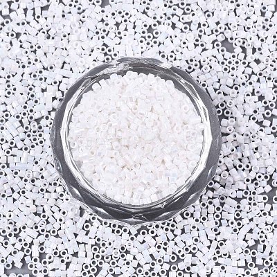 FGB 11/0 Grade A Baking Paint Glass Seed Beads X-SEED-S030-0401-1