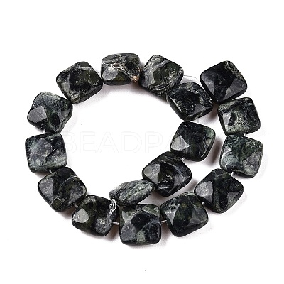 Natural Kambaba Jasper Beads Strands G-T138-171-1