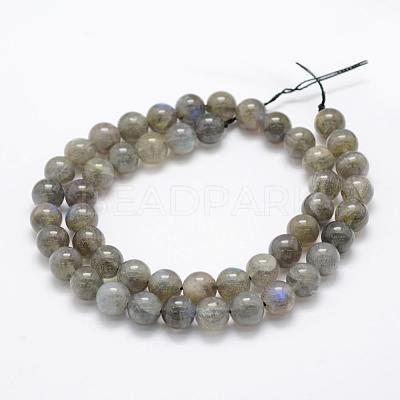 Natural Labradorite Beads Strands G-P322-31-8mm-1