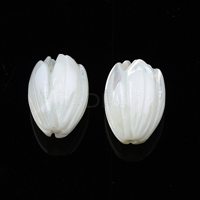Natural Trochid Shell/Trochus Shell Beads SSHEL-T014-33-1
