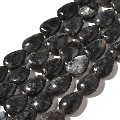 Natural Larvikite Beads Strands G-I377-A10-1