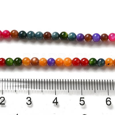 Natural Freshwater Shell Beads Strands SHEL-H003-03H-1