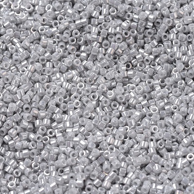 MIYUKI Delica Beads Small X-SEED-J020-DBS0252-1