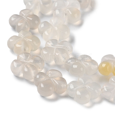 Natural White Agate Beads Strands G-M418-D03-01-1