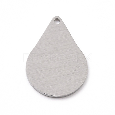 Tarnish Resistant 304 Stainless Steel Pendants STAS-F271-05B-P-1