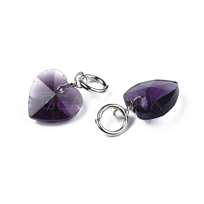 Faceted Transparent Glass Charms GLAA-T024-04A-1