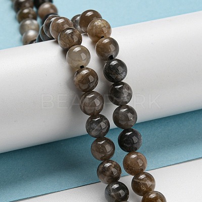 Natural Black Moonstone Beads Strands G-A219-A01-02-1