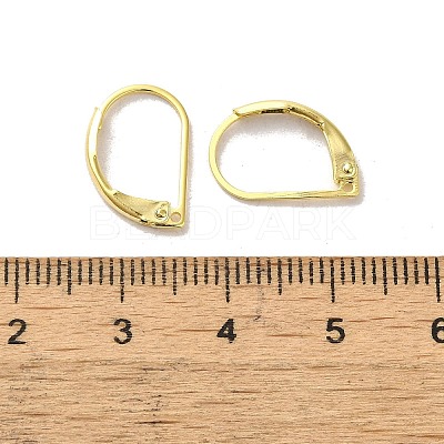 Brass Leverback Earring Findings FIND-Z039-27G-1