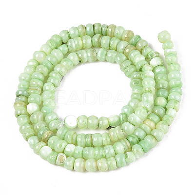 Natural Freshwater Shell Dyed Beads Strands SHEL-T020-29A-03-1