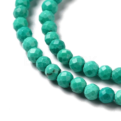 Natural Howlite Beads Strands G-C025-02B-02-1