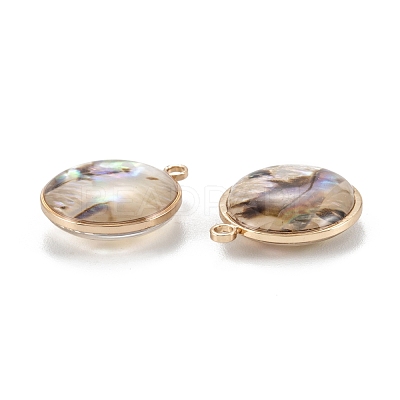 Natural Paua Shell Pendants KK-K252-06G-02-1