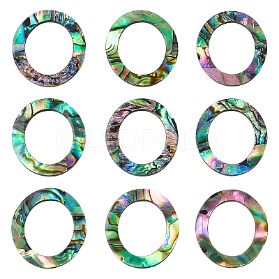 25Pcs Natural Abalone Shell/Paua Shell Cabochons SHEL-WR0001-01-1