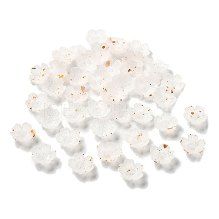 Acrylic Bead Caps OACR-Z028-03H-1
