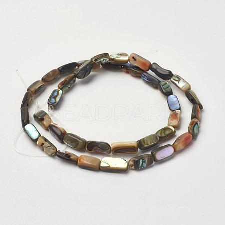 Natural Paua Shell Beads Strands X-G-D171-03-1