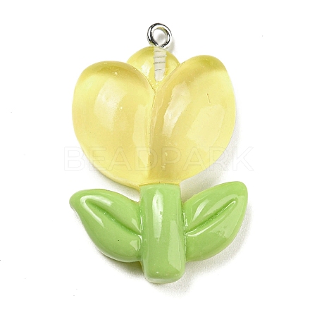 Translucent Resin Pendants RESI-G078-01E-1