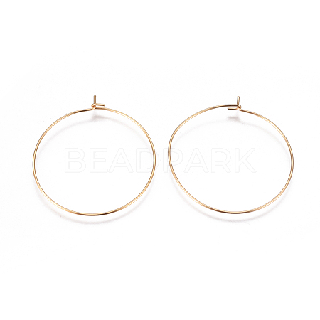 304 Stainless Steel Hoop Earrings Findings STAS-I120-60D-G-1